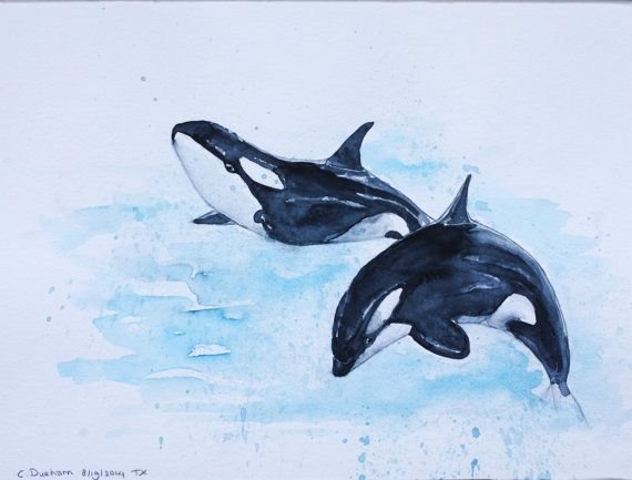 Касатка акварель