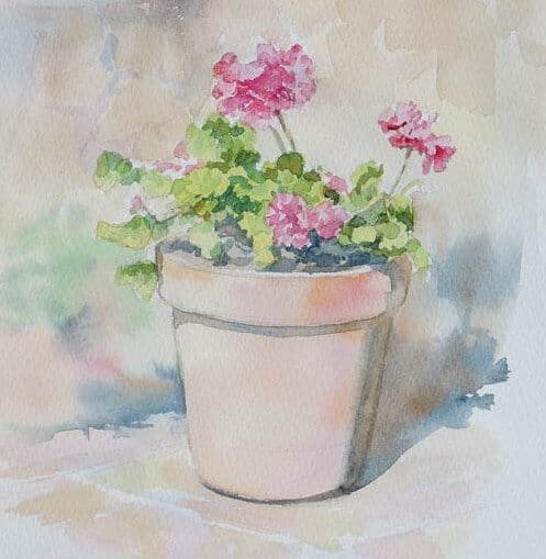 Герань в горшке акварель