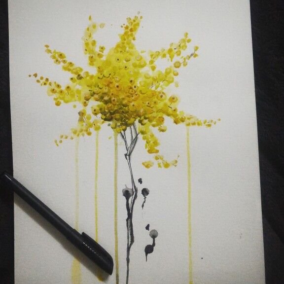 Мимоза нарисованная акварелью