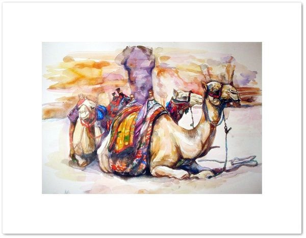Верблюд с акварелом