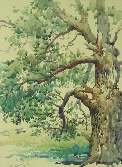 Дуб акварелью