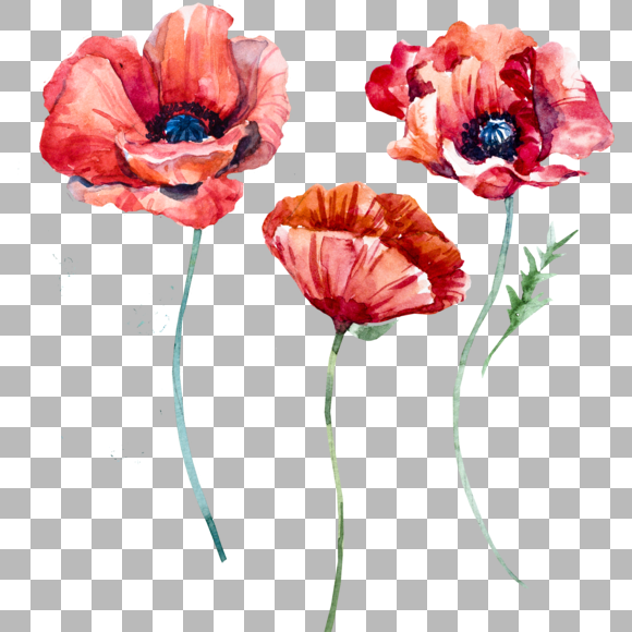 Одиночный цветок акварелью