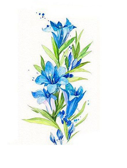 Цветы акварель Анастасии Бесединой