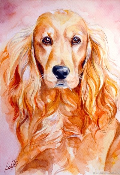 Кокер спаниель акварелью