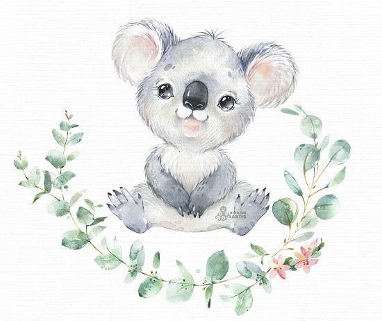 Коала с эвкалиптом рисунок акварелью