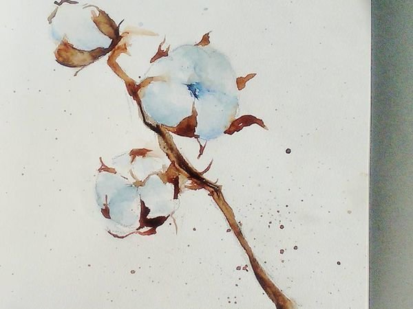 Веточка хлопка акварель