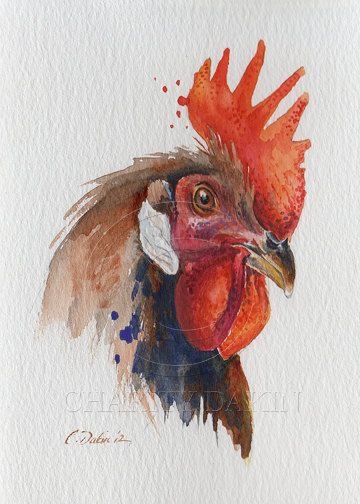 Курица акварелью
