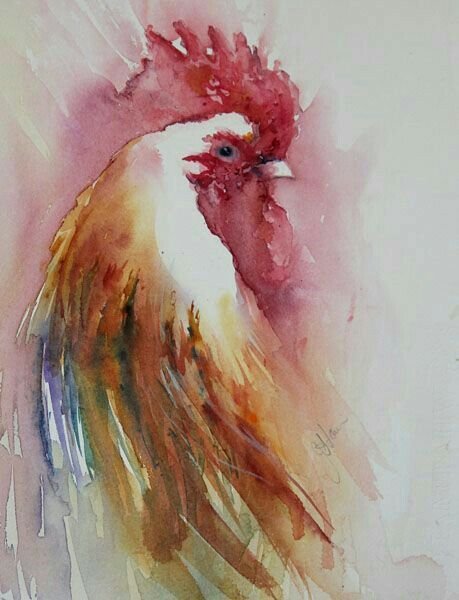 Петух живопись акварелью