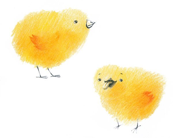 Евгений Чарушин Курочка