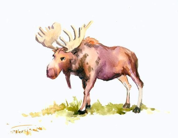 Лось иллюстрация акварель