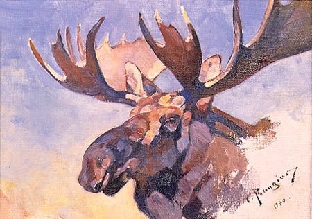 Животные живопись гуашью