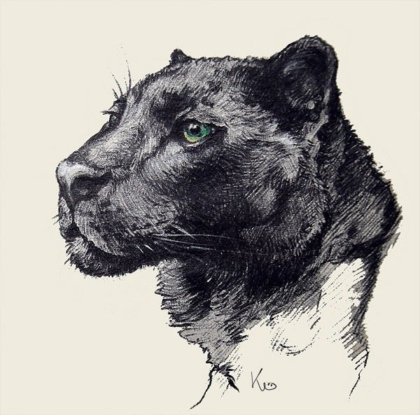 Пантера ручкой