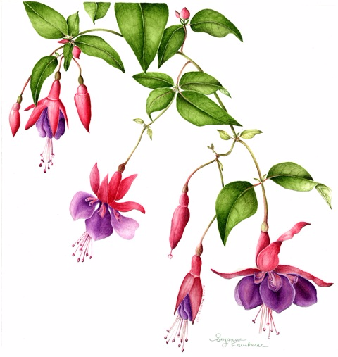 Вышивка крестиком фуксия