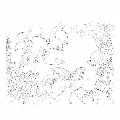 Эммануэль Колин рисунки