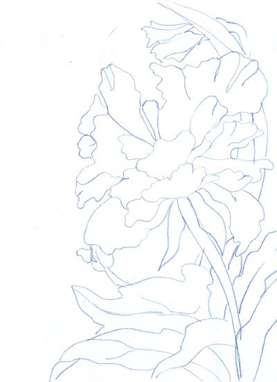 Мак малолистный