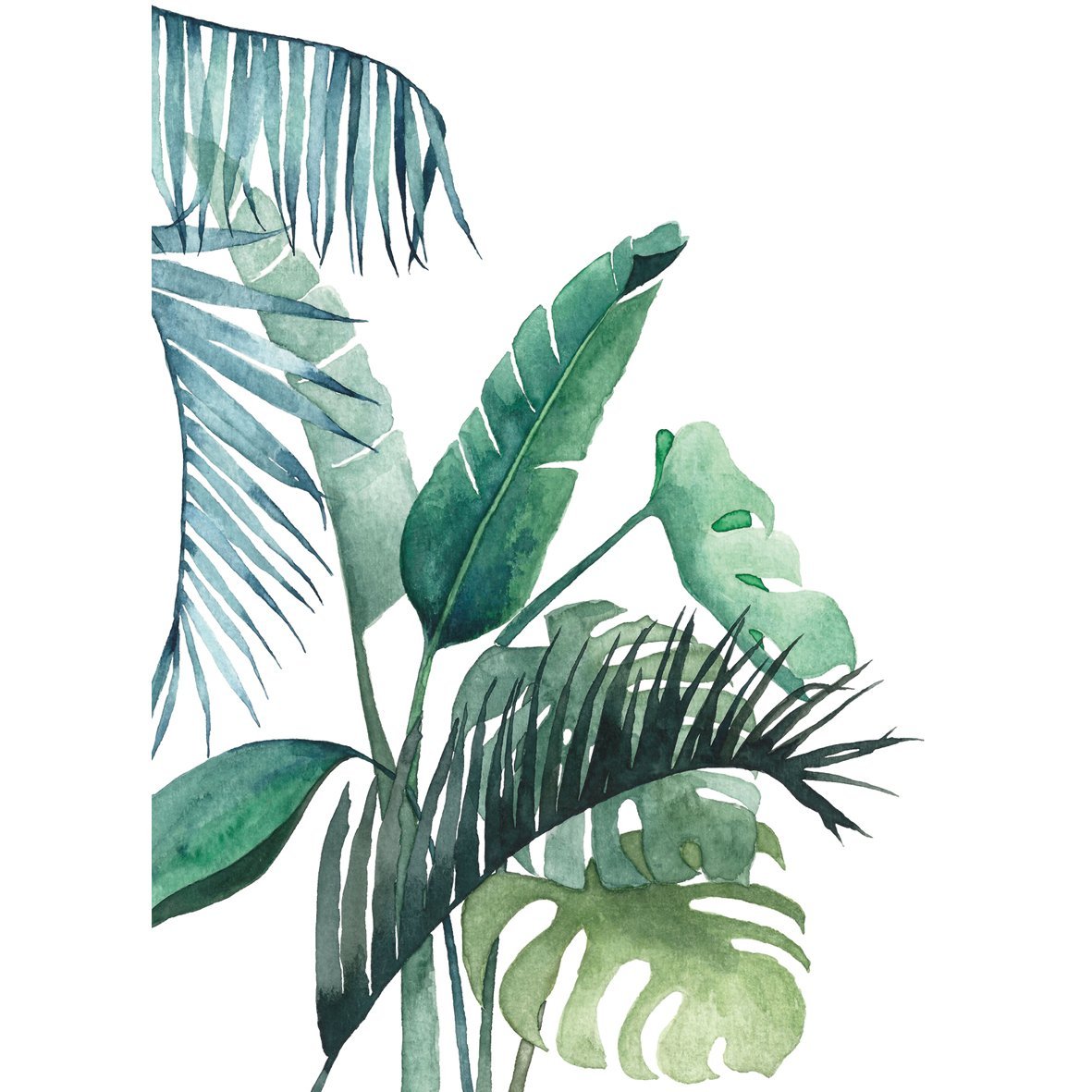 Листья тропических растений акварель