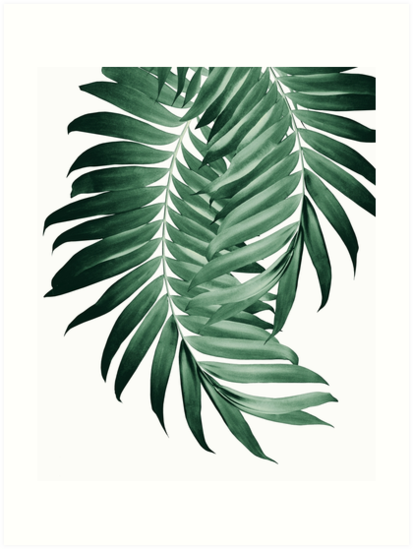 Листья пальмы живопись