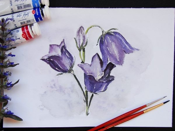 Картины акварелью