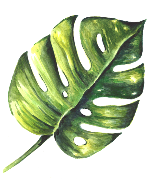Monstera Leaf Painting