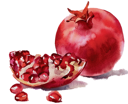Гранат акварелью