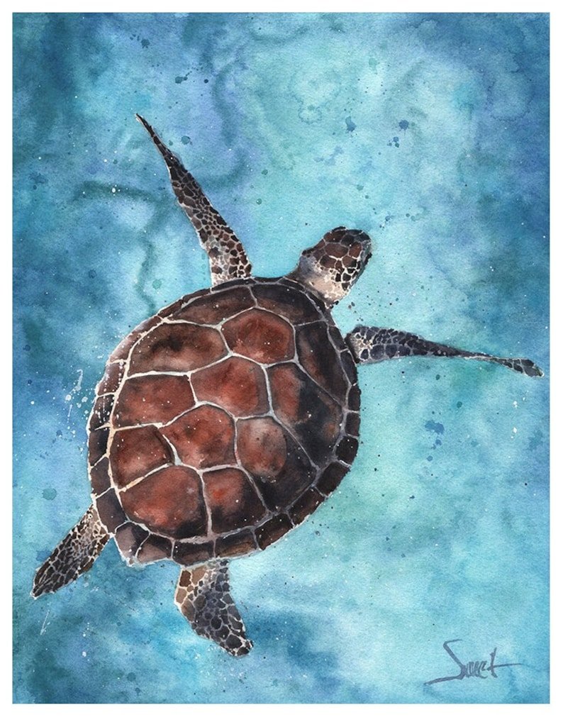 Рисование морская черепаха