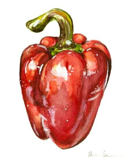 Болгарский перец акварелью