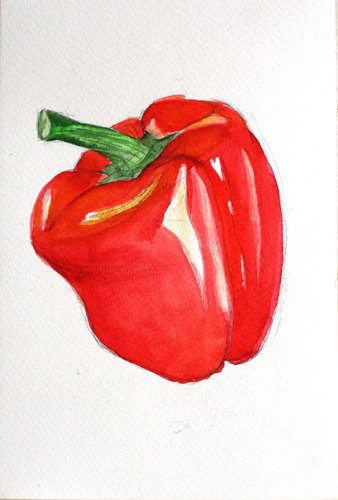 Красный перец акварелью