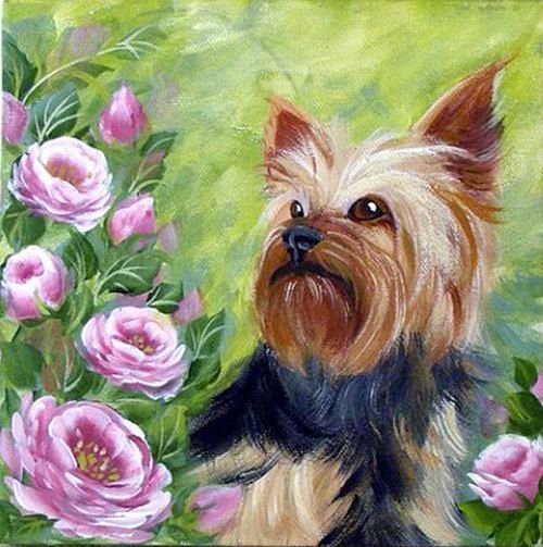 Алмазная картина Йоркширский терьер