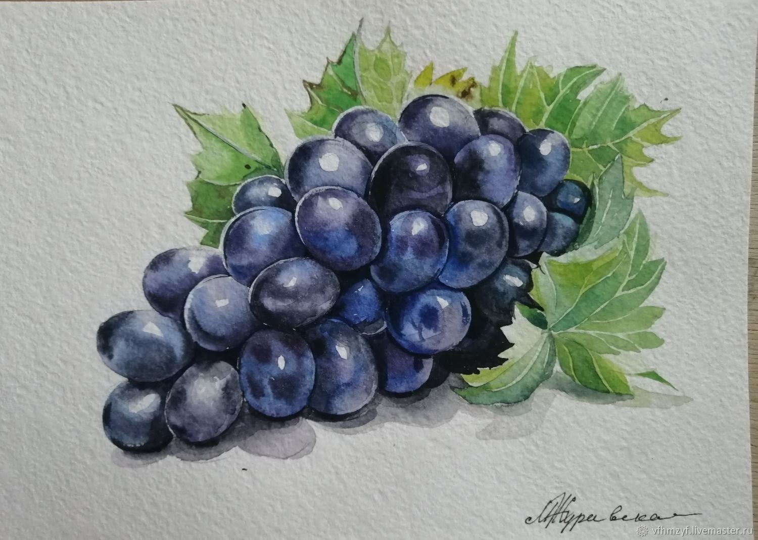 Рисуем виноград поэтапно акварелью