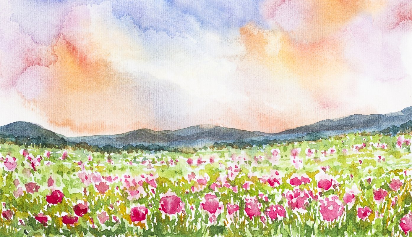 Поляна с цветами рисунок акварель