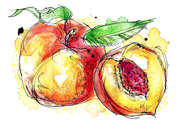 Скетчинг фрукты