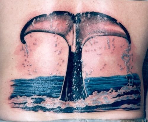 Хвост кита акварель