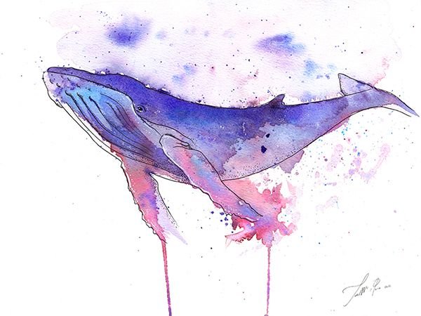 Хвост кита вектор