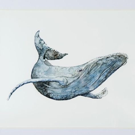 Хвост кита Графика