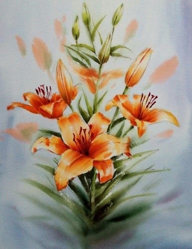 Лилии акварелью для начинающих