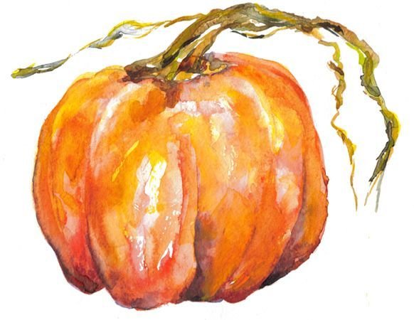 Рисование тыквы поэтапно