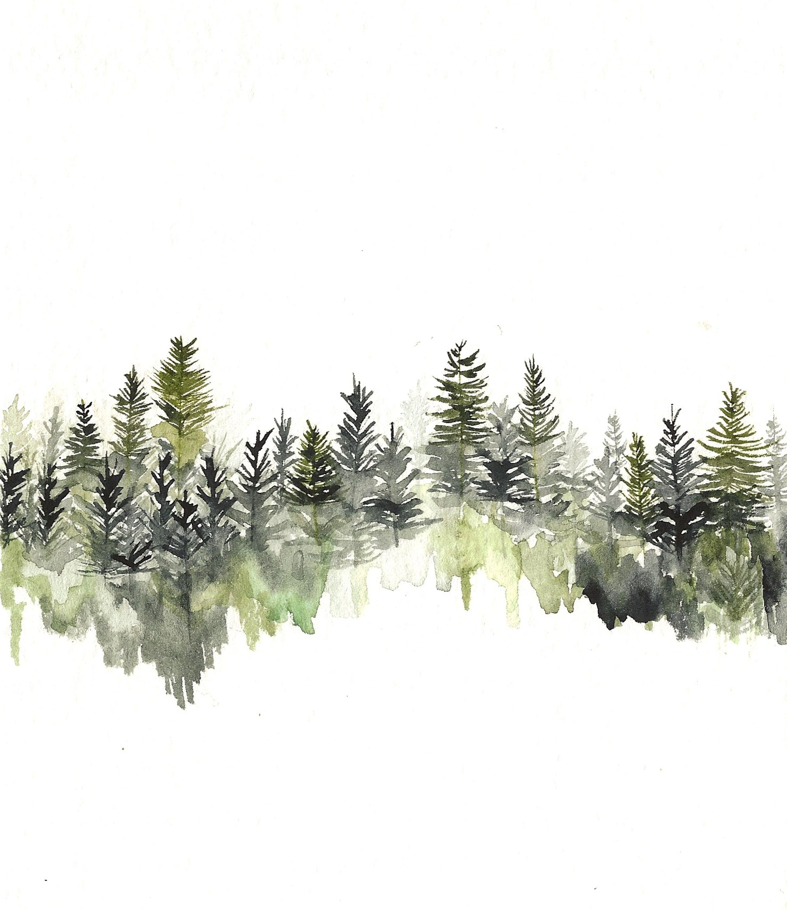Лес на белом фоне