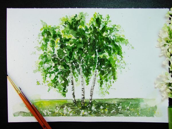 Береза акварелью мастер класс