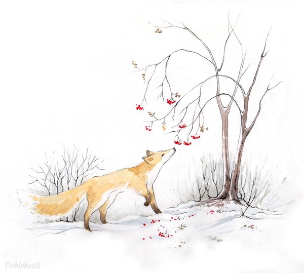 Лисички на зиму