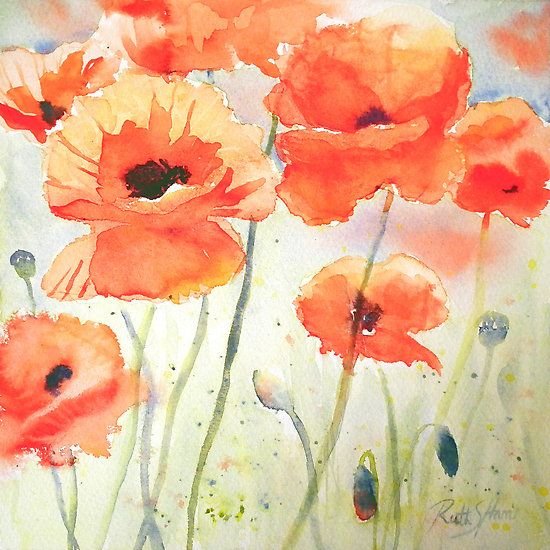 Маки акварелью