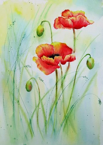 Маки акварелью для детей