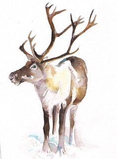 Акварельные олень для детей