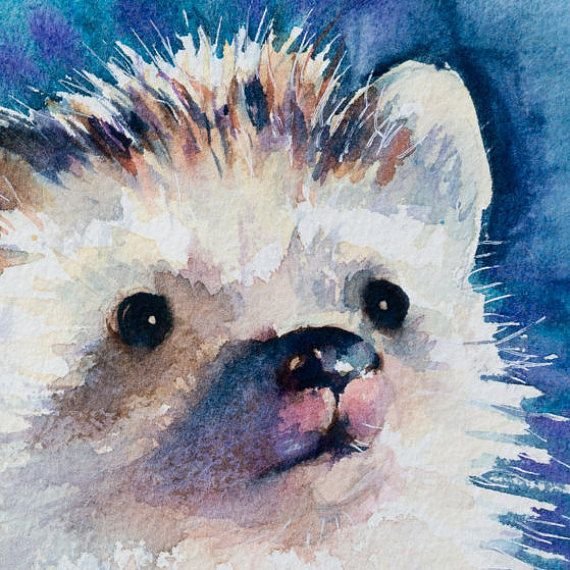 Еж акварелью