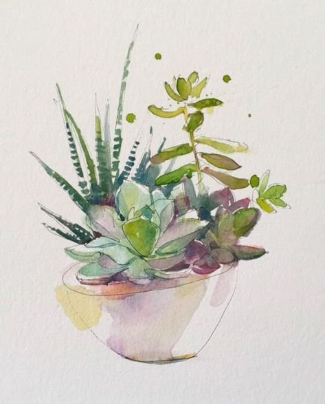 Ботанический скетчинг Суккуленты