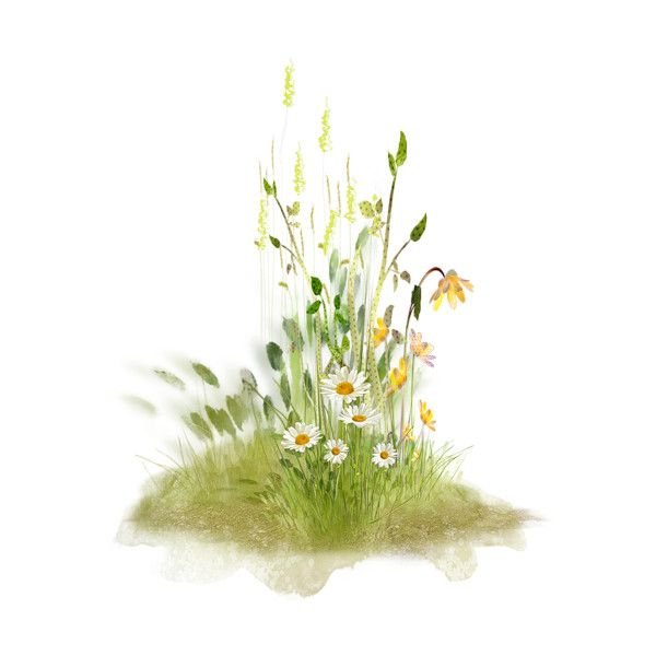 Трава акварель