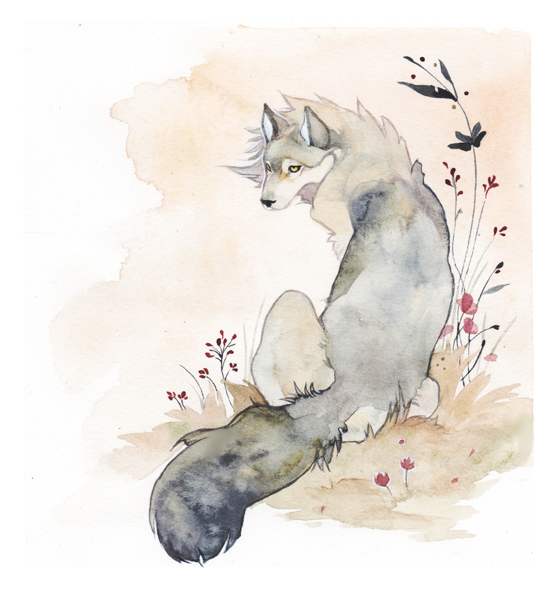 Волк акварелью