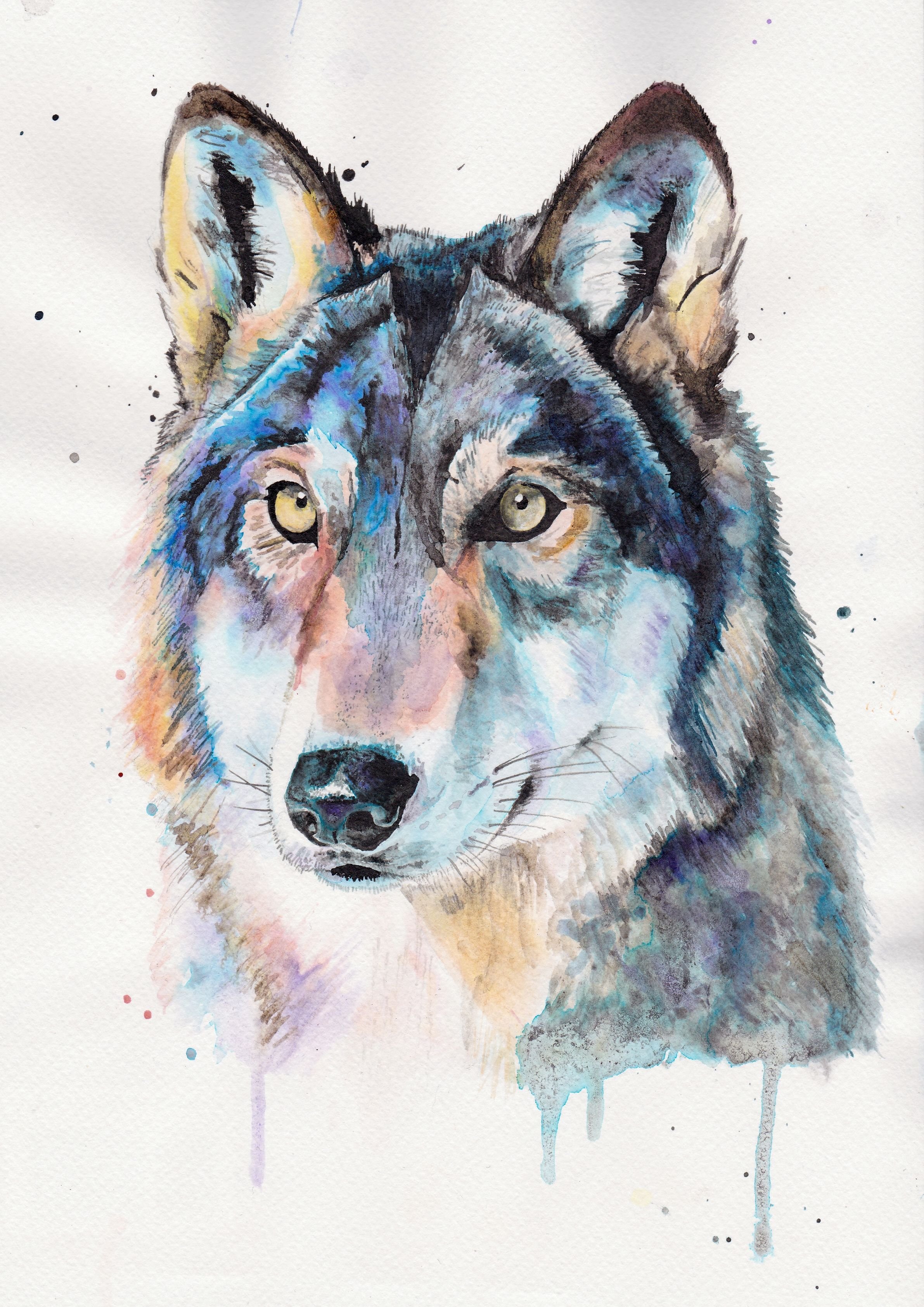 Цветные картинки волка. Волк акварелью. Акварельном стиле Волков. Волк рисунок. Волк рисунок акварелью.