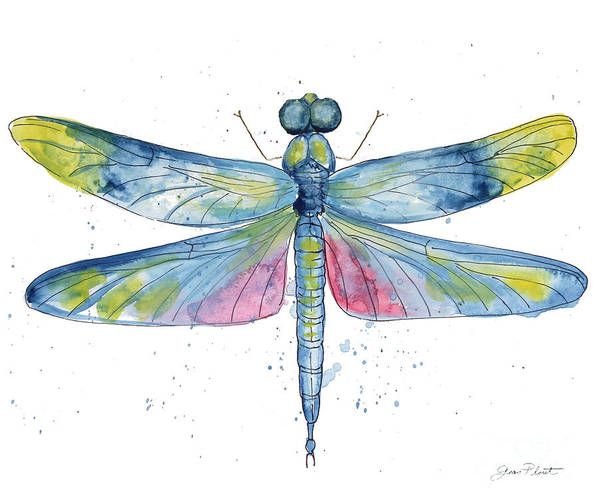 Стрекоза акварель