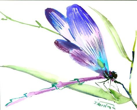 Стрекоза рисунок
