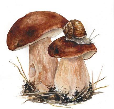 Грибы в живописи